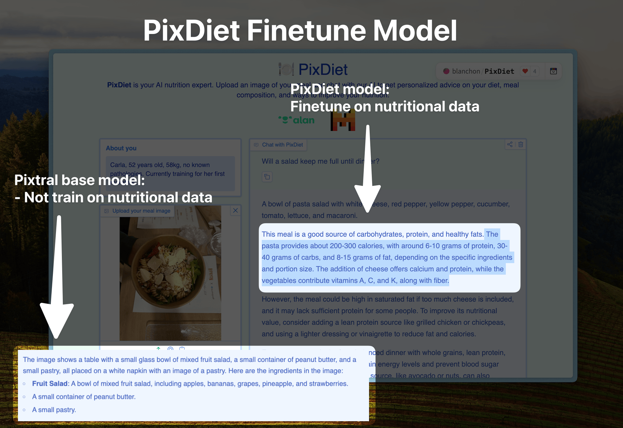 Finetuned Model